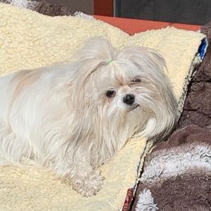 Meet your Posher, Paula